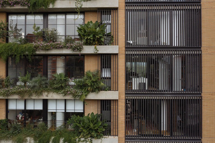 Delhi’s Homes Go Green: Clay Walls, Herbal Cleaners, and Kitchens That Heal