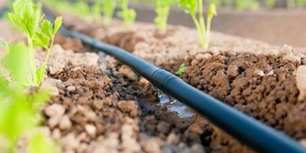 Mahindra EPC Irrigation Secures Multiple Micro-Irrigation Contracts