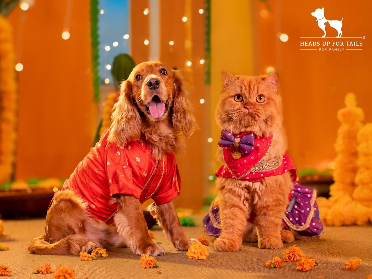 HUFT’s ‘Dil Se Desi’ Collection Celebrates Pets As Family This Festive Season