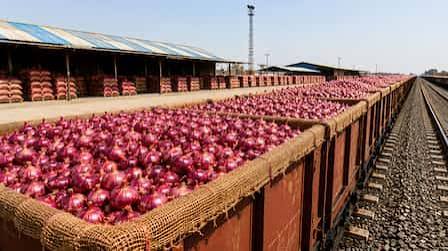Why Onion Prices Are Climbing and What the Government Is Doing About It