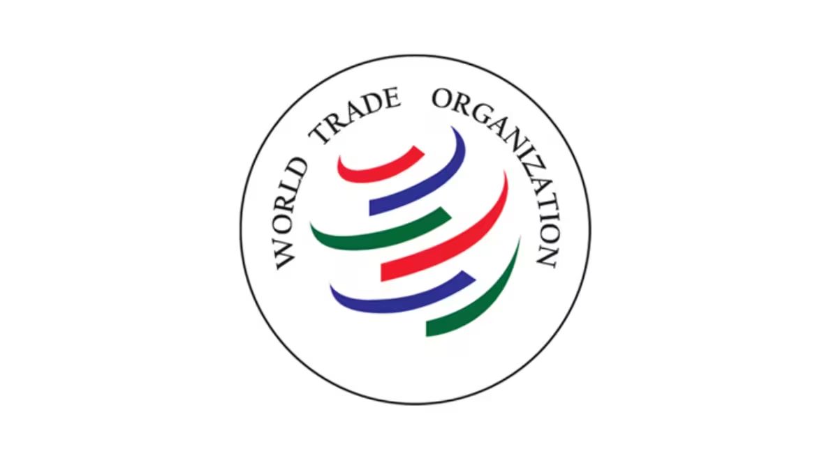 How Will India Advocate For Strengthening WTO At The Cameroon Ministerial?