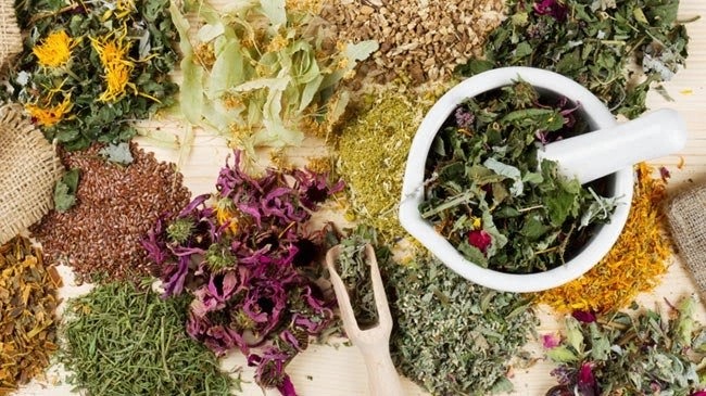 Dry Scalp? Don't Panic! Ayurveda's Got Your Back (and Hair)