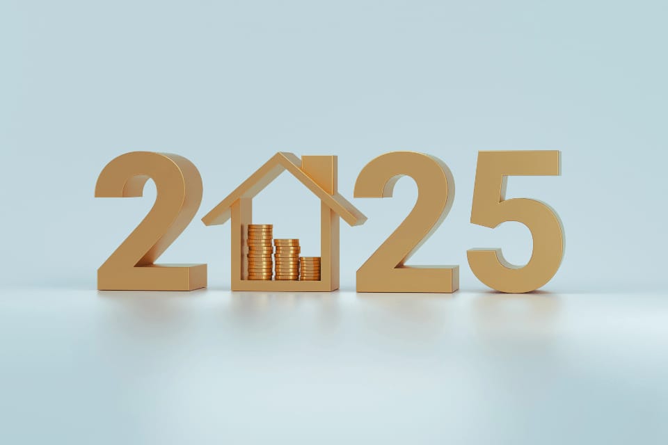 2025 Outlook: Housing Finance Companies Eye Diverse Funding to Tackle Affordable Housing Boom