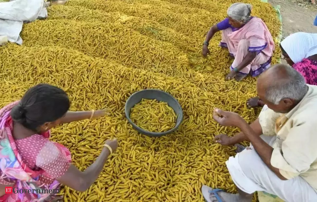India's Turmeric Triumph: Aiming for $1 Billion in Exports by 2030 Amid Rising Global Demand