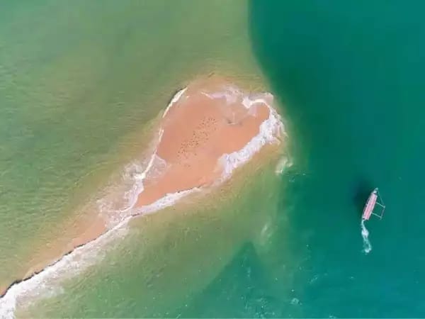 Hidden Paradise Unveiled: Mumbai's Seagull Island Emerges for Just 30 Minutes Daily