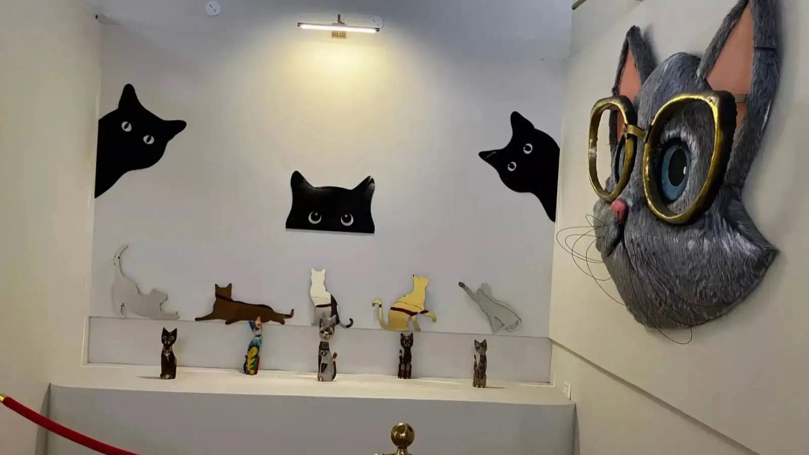 India’s First Cat Museum Opens in Mysuru: A Haven for Feline Enthusiasts