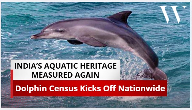 Counting River Royals: India Launches Second Dolphin Census Across Its Waterways