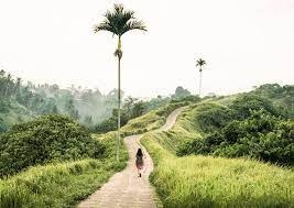 Neurodivergent Indian Travellers Seek Quiet Spaces