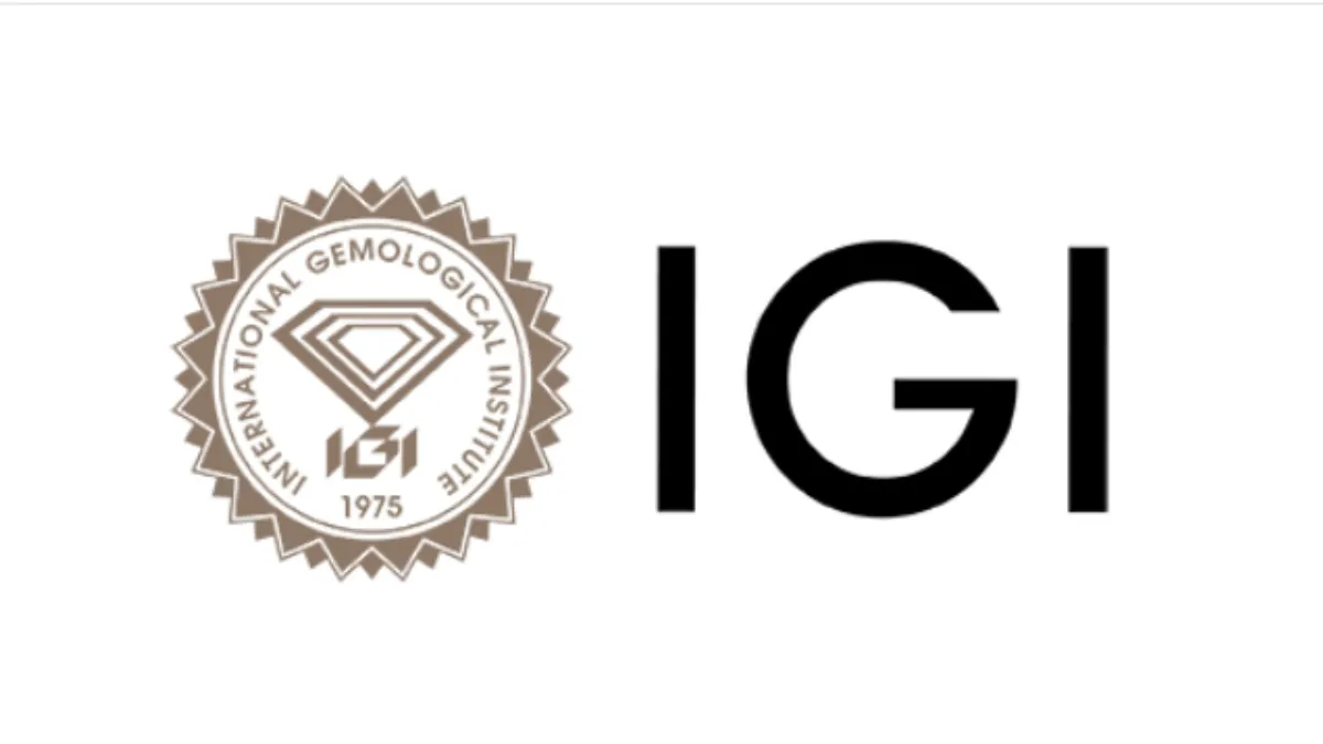 IGI India Board Approves ₹2.55 Interim Dividend Per Share