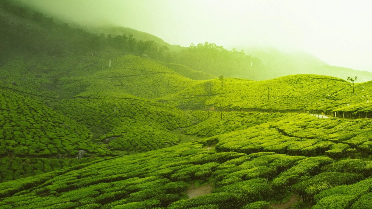 South India's Secret Summer Sanctuaries: Escape the Heat in These 7 Cool Havens