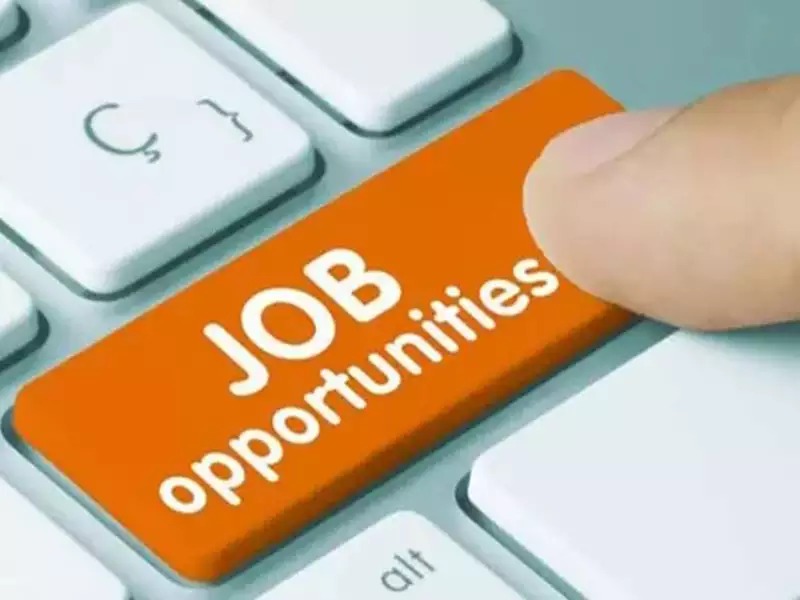 India's Job Market Soars: Top Talent Set for Massive Pay Hikes in 2025