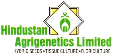 Boardroom Exit: CFO Chandani Kapur Steps Down at Hindustan Agrigenetics