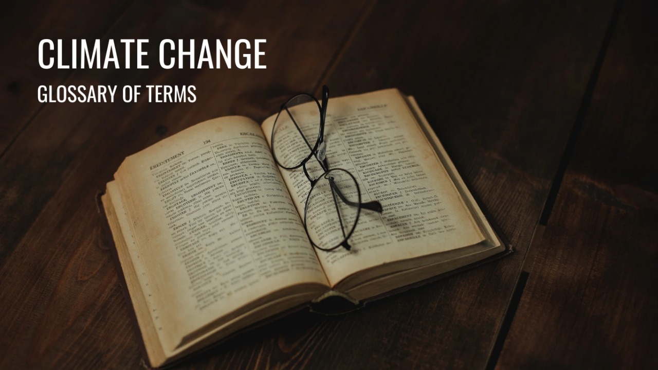 Dictionary Of Sustainability Terms Aims To Simplify Climate Language