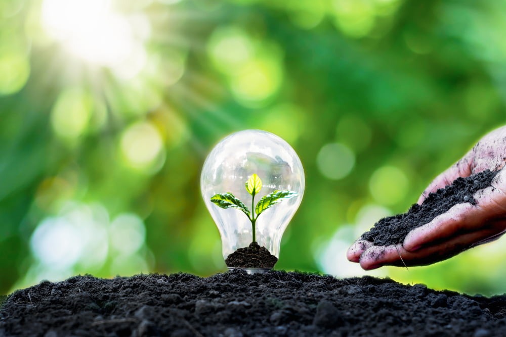 NRIs Adopt Green Heritage: Tree Planting Program Turns Homeland Green