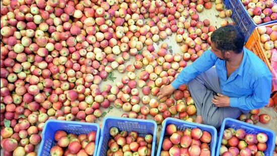 PHDCCI Urges Steep Import Duty Hike To Safeguard Indian Fruit Farmers