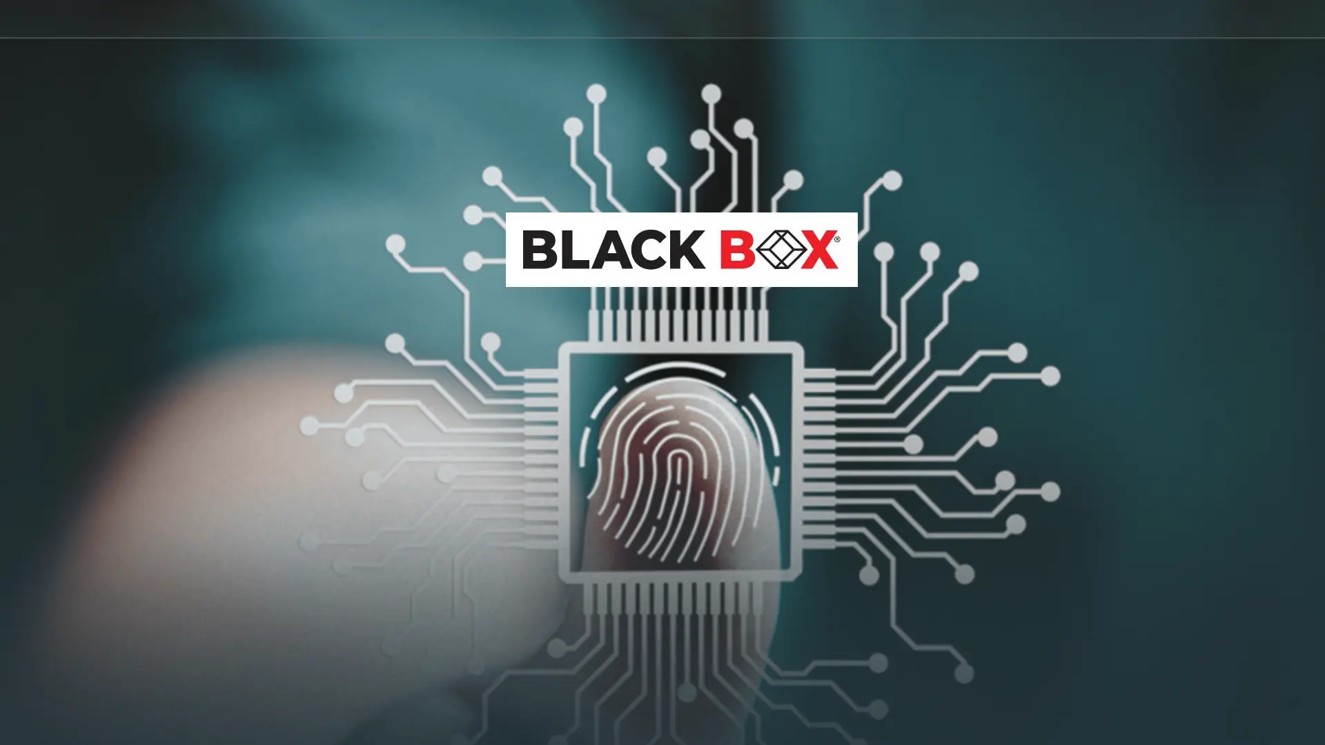 Revenue Reinvented: Black Box Welcomes Jai Venkat as CRO for Americas