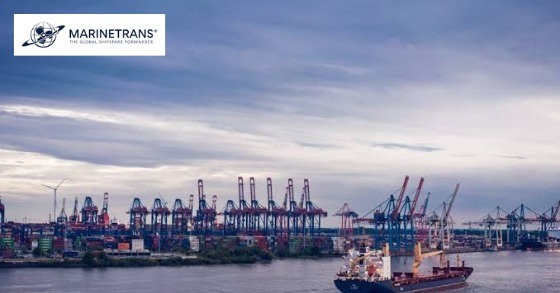 Marinetrans India Ltd Appoints Usha Dilip Peta as CFO