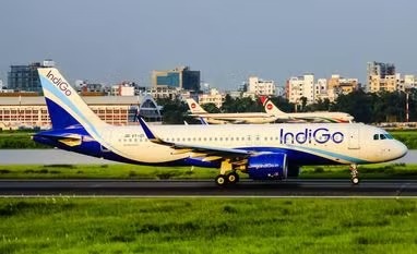Indigo Shares Edge Higher With 1.4% Gain In Morning Trade