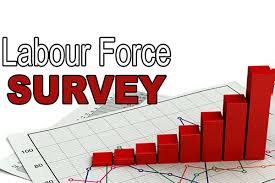 Job Stats Go Monthly: India’s Labour Force Survey Gets a Fast-Track Upgrade
