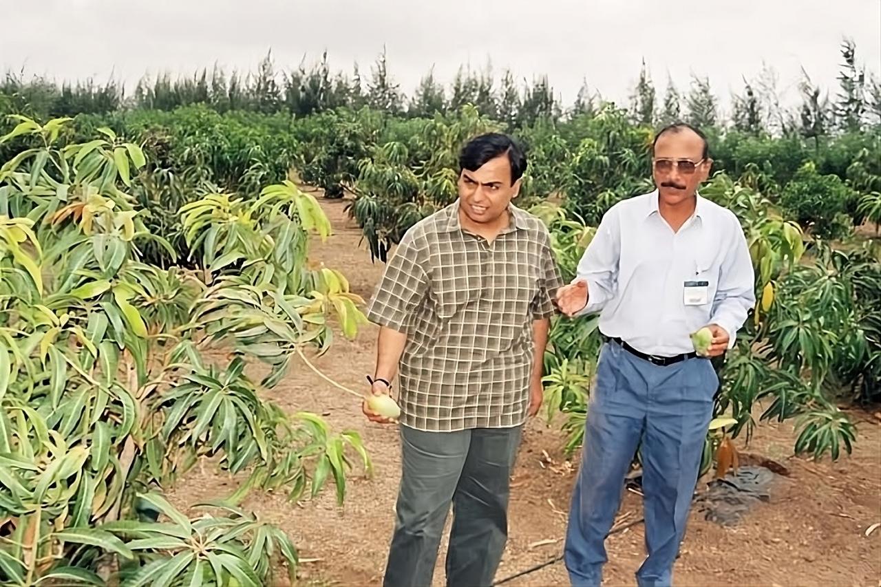 India’s Sweetest Secret: The Orchard Project That Could Rewrite Export History