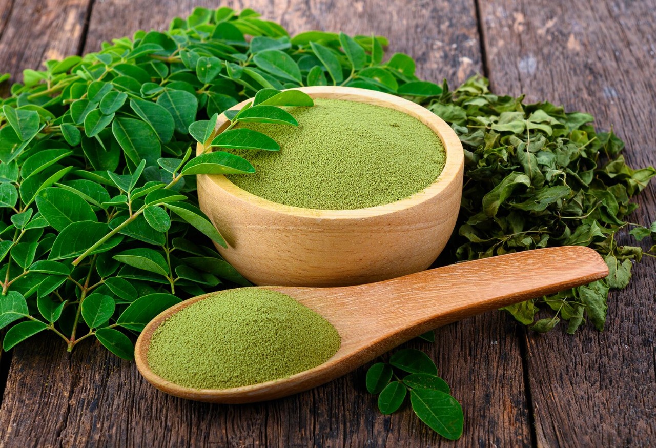 Moringa Water Shows Promise In Managing Blood Sugar And Cholesterol
