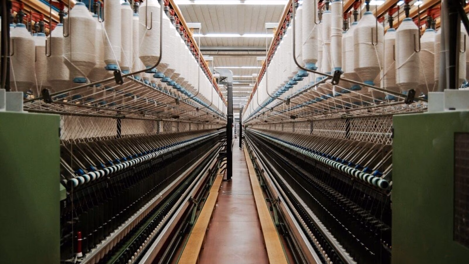 Loyal Textile Mills Weaves Strong Growth Story—Revenue Surges to ₹1.46 Billion!