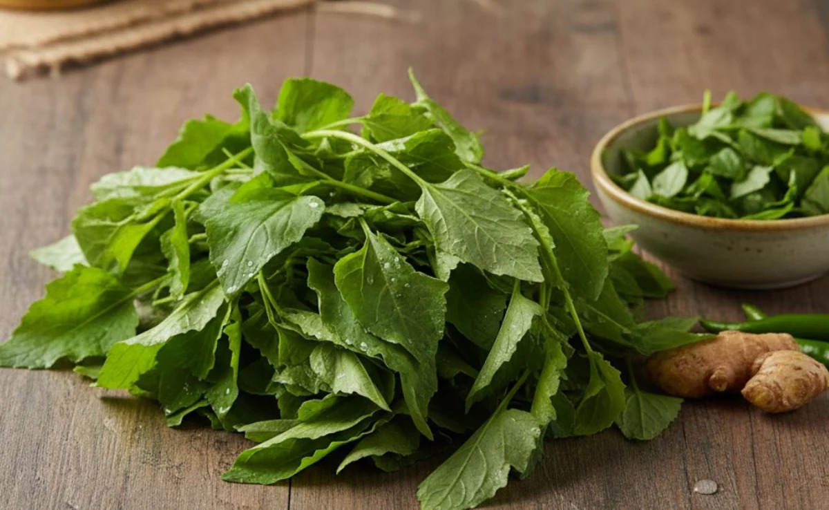 Leafy Remedy? Bathua Shows Promise Against Liver Fat