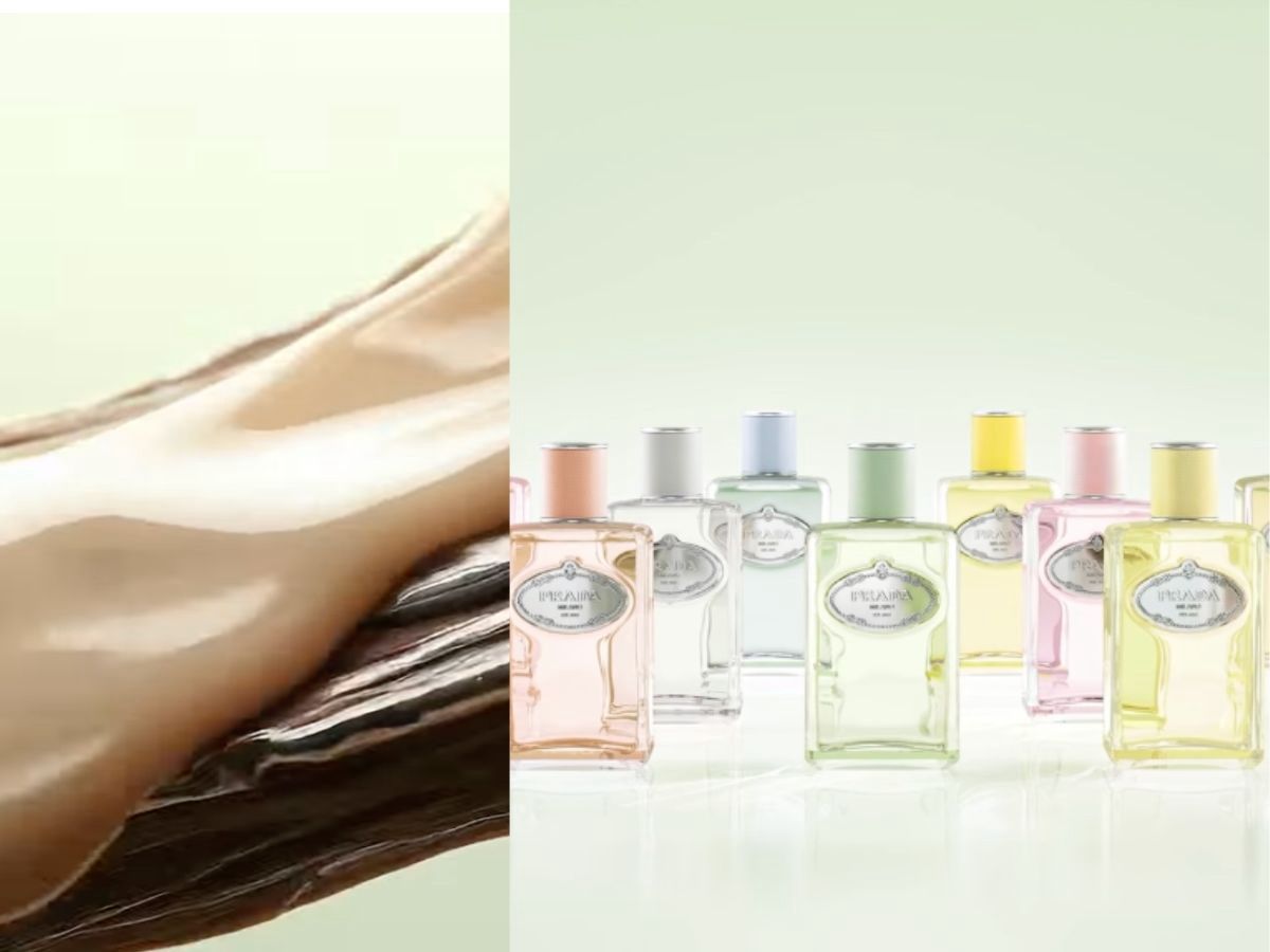 Brewed in a bottle: Prada’s chai-inspired perfume sparks spicy reactions online