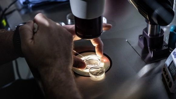 Conceiving Success: The Booming Business of Fertility and the IVF Market's Growth Potential