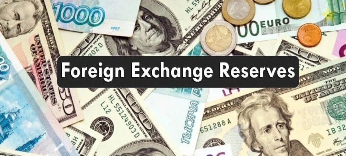 India’s Forex Chest Dips Slightly; RBI Confirms Zero Government Debt