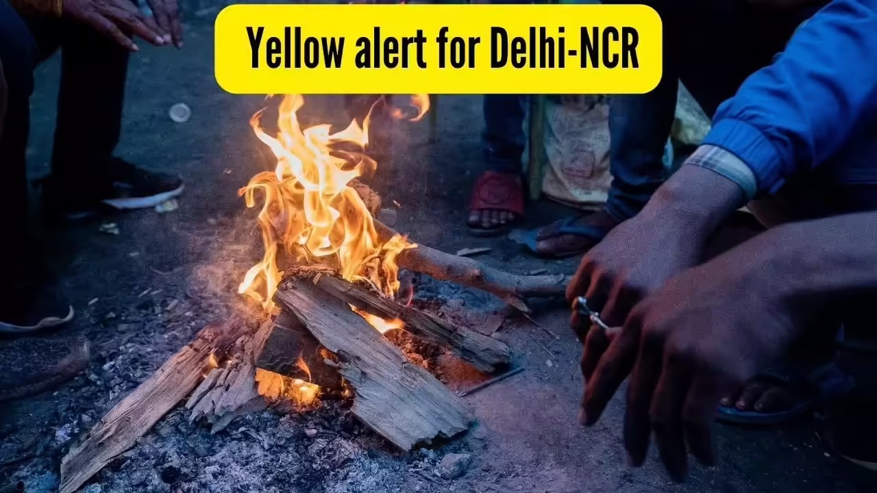 Delhi's Deep Freeze Alert: Yellow Warning as Cold Wave Strikes!