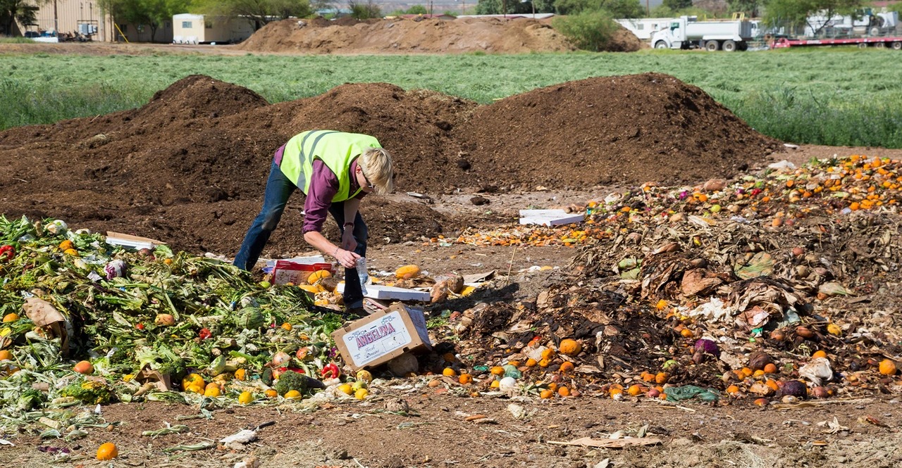 Peel, Pile, Prosper: How KCW’s Green Campus Grows from Its Own Waste