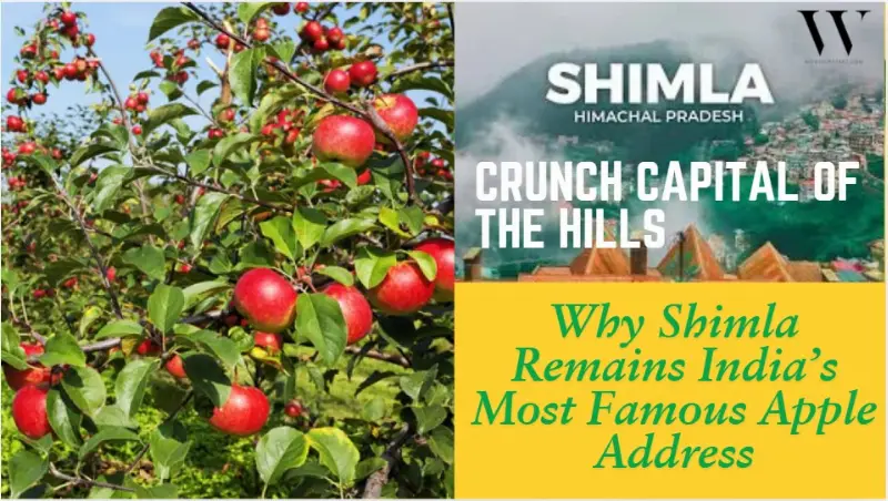 Shimla’s Crunchy Claim To Fame: Inside India’s So-Called Apple City