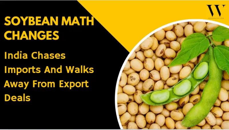 India’s Soybean Trade Flips As Record Imports Loom And Exports Get Axed