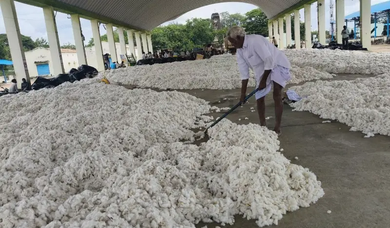 Yarn, Yields And Yet Another Levy: What A Cotton Duty Reset Would Mean For Spinners, Growers And Your Shirt Price
