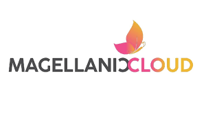 Investor Sentiment Shifts as Magellanic Cloud Drops 8.5%