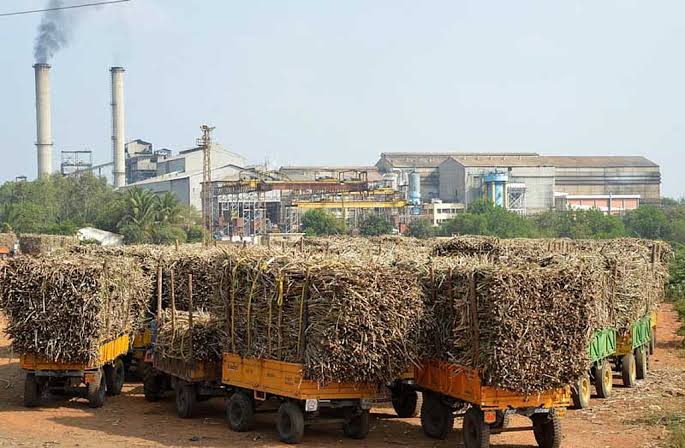 Sweet Relief for Farmers: Govt Approves 1.5 MT Sugar Exports, Scraps Molasses Duty