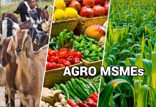 Agrifood MSMEs Take Root: Fintech Fuels Expansion and Development