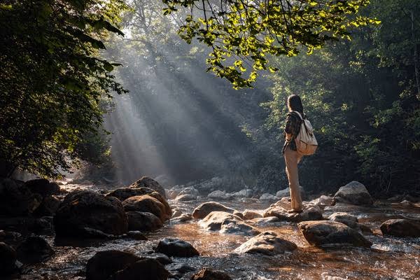 Take a Hike, Heal Your Lungs: The Woodland Secret to Better Breathing