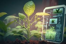 Farming Just Got a Software Update! Meet the Man Bringing IT to AgriTech