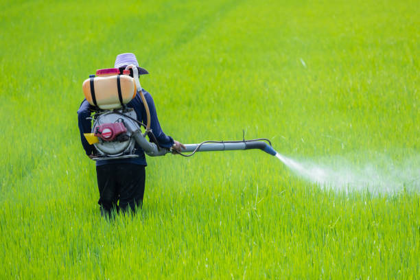 Insecticides India & Nissan Chemical Unveil ALTAIR: A Game-Changer for Rice Farmers