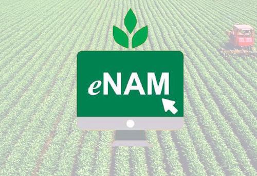 Digital Mandis 2.0: How eNAM’s Smart Upgrade Is Empowering Farmers for Global Markets