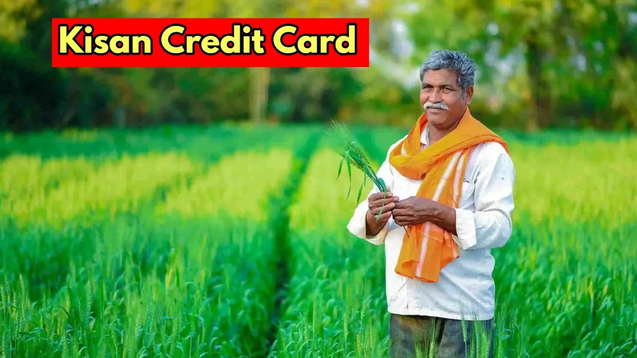 India’s Agri Engine Accelerates: 25 Crore Soil Cards and Credit Access Fuel Viksit Bharat