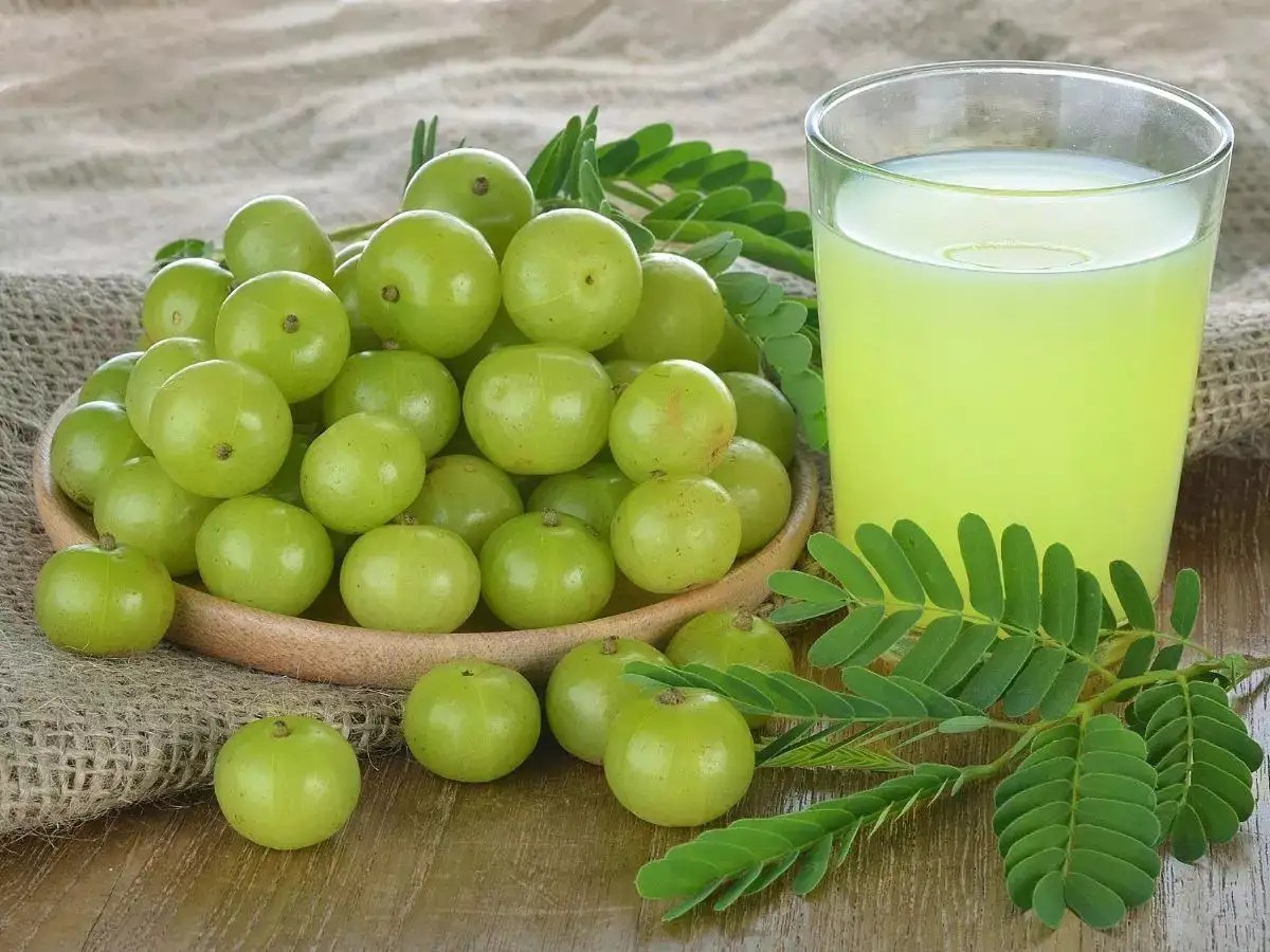 Amla’s Global Glow-Up: India’s Nutritional Gem Steps Into The Superfood Spotlight