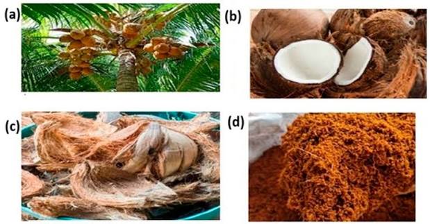 MSME Ministry Drives Rural Revival Through India Coir Transformation
