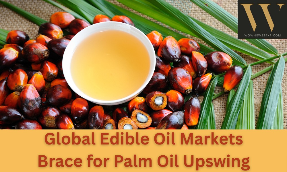 Malaysia’s Palm Oil Output Slows, Prices Set to Rise