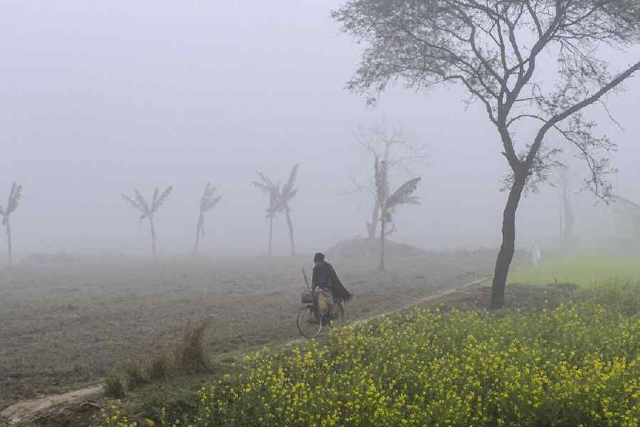 Winter Chill Intensifies: IMD Predicts 2–3°C Dip in South Bengal Temperatures