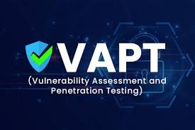 Cyber Armor for Growth: Top VAPT Providers Power India’s Digital Defenses in 2025