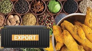 Spice Supremacy Unleashed: India Dominates World Turmeric Trade