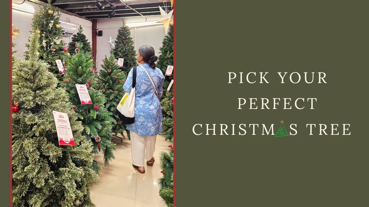 Christmas Tree Buying Guide: Best Online And Offline Options In India